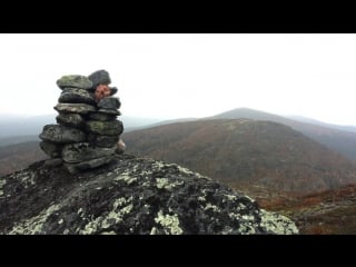 06 10 гештальт mr pepper beardface etiket