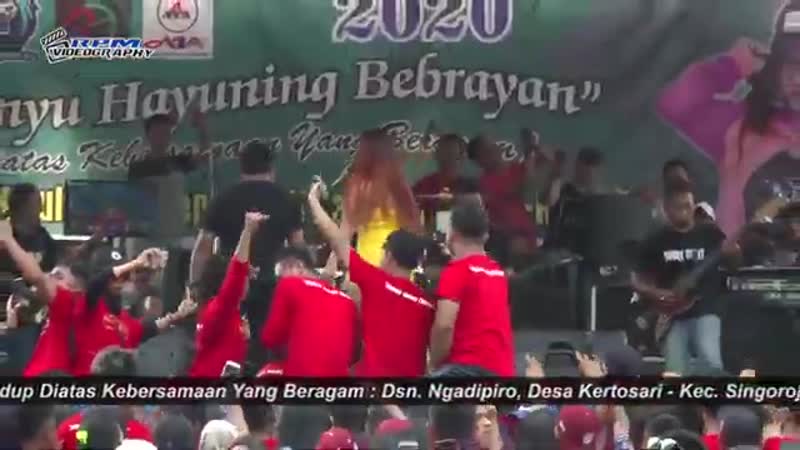 Kemben sampai mlorot gak kerasa !!!! uut selly high mp4