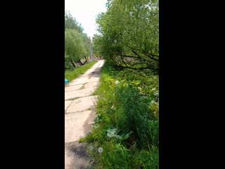 Vid 20200607 123327 mp4