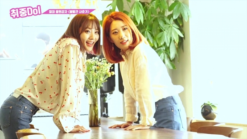 180617 [drunkdol] bol4 (볼빨간 사춘기) interview @ ilgansports