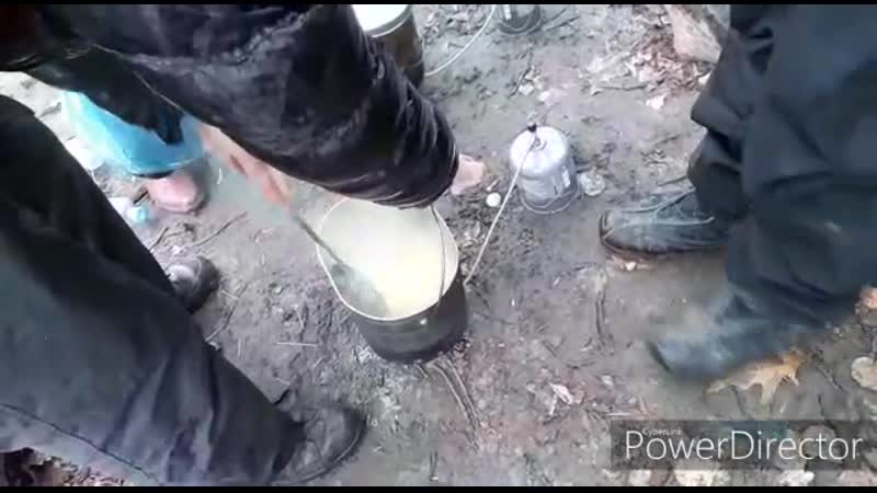 Химкинский лесопарк