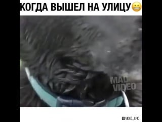 Молодые замерзла mp4