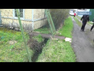 Слив септика на даче