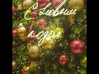 Marina chizhova 20210101 0001 mp4