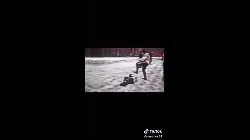 Офники в лесу