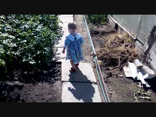 Video 20150819 103514