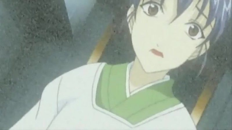 Ryokan shirasagi [1 of 2] [2003]