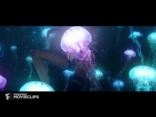 Best scene jellyfish swim the shallows (8/10)