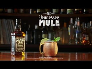 The refreshing tennessee mule ingredients old no 7