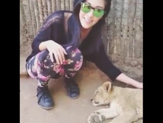 For those of you who haven't guessed i'm in johannesburg south africa!! i spent my day playing with these cute lion cubs ♡ are