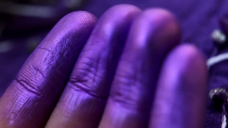 Tammy tanuka ревнивица