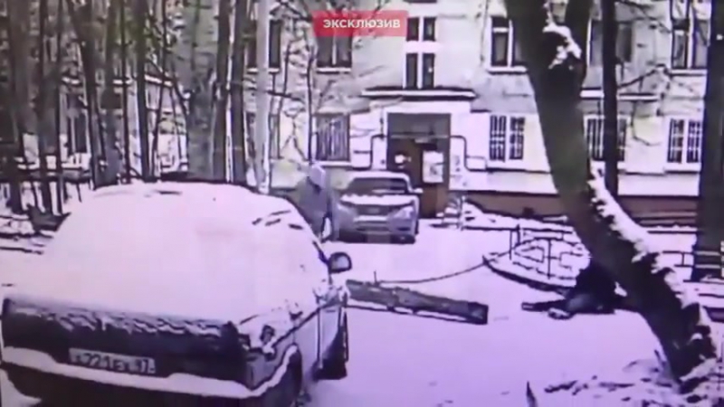 Упашее дерево молодые девушку