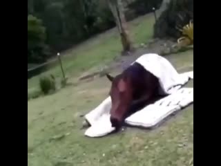 Пришла домой с работы 😃😌 артистка