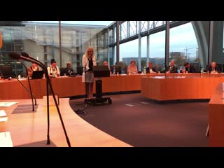 Erinnerungen an den alternativen frauenkongress rede dr christina baum gleichstellung multikulturelle massenzuwanderung