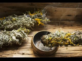 Магия полыни the magic of wormwood