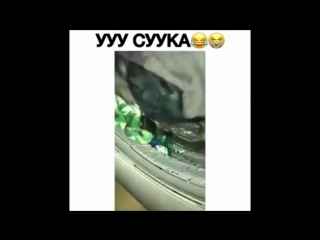 Ууу, сука instamusor