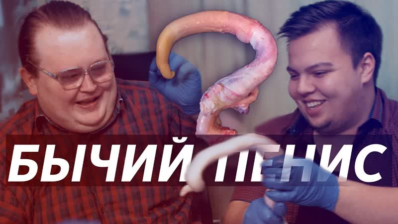 [red21] бычий половой орган