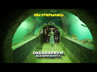 Мы открылись! океанариум екатеринбурга