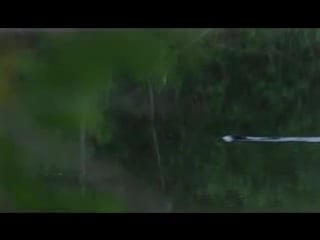 Scandinavian sc dvd rip