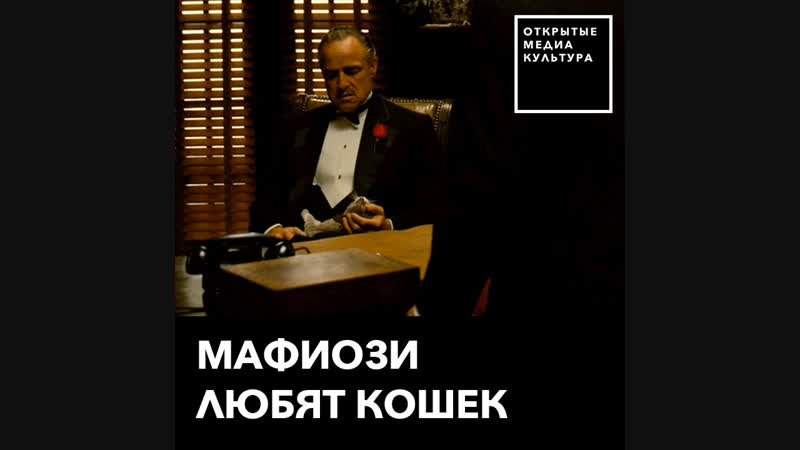 Мафиози любят кошек