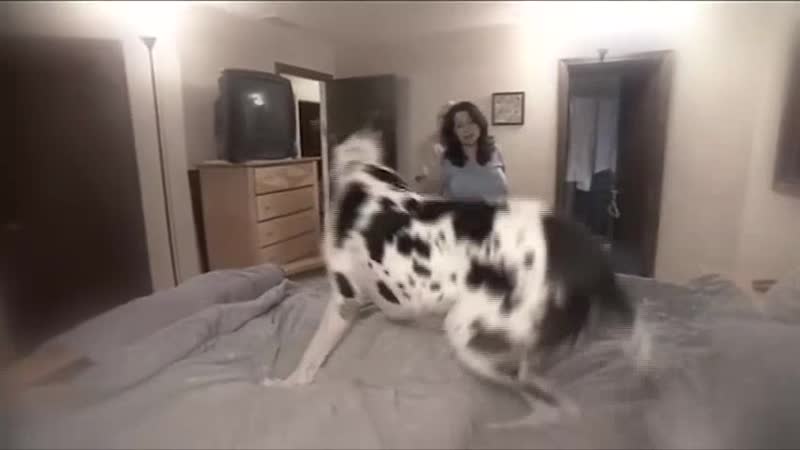 Uyqudagi porno onlayn tomosha qiling Pantiesdagi semiz ayolning shaxsiy fotosurati