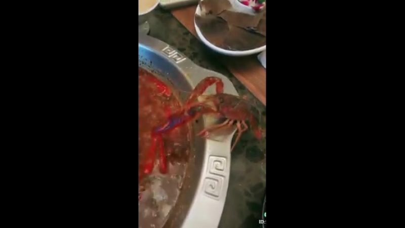 В китае рак сбежал из кастрюли, откусив собственную клешню