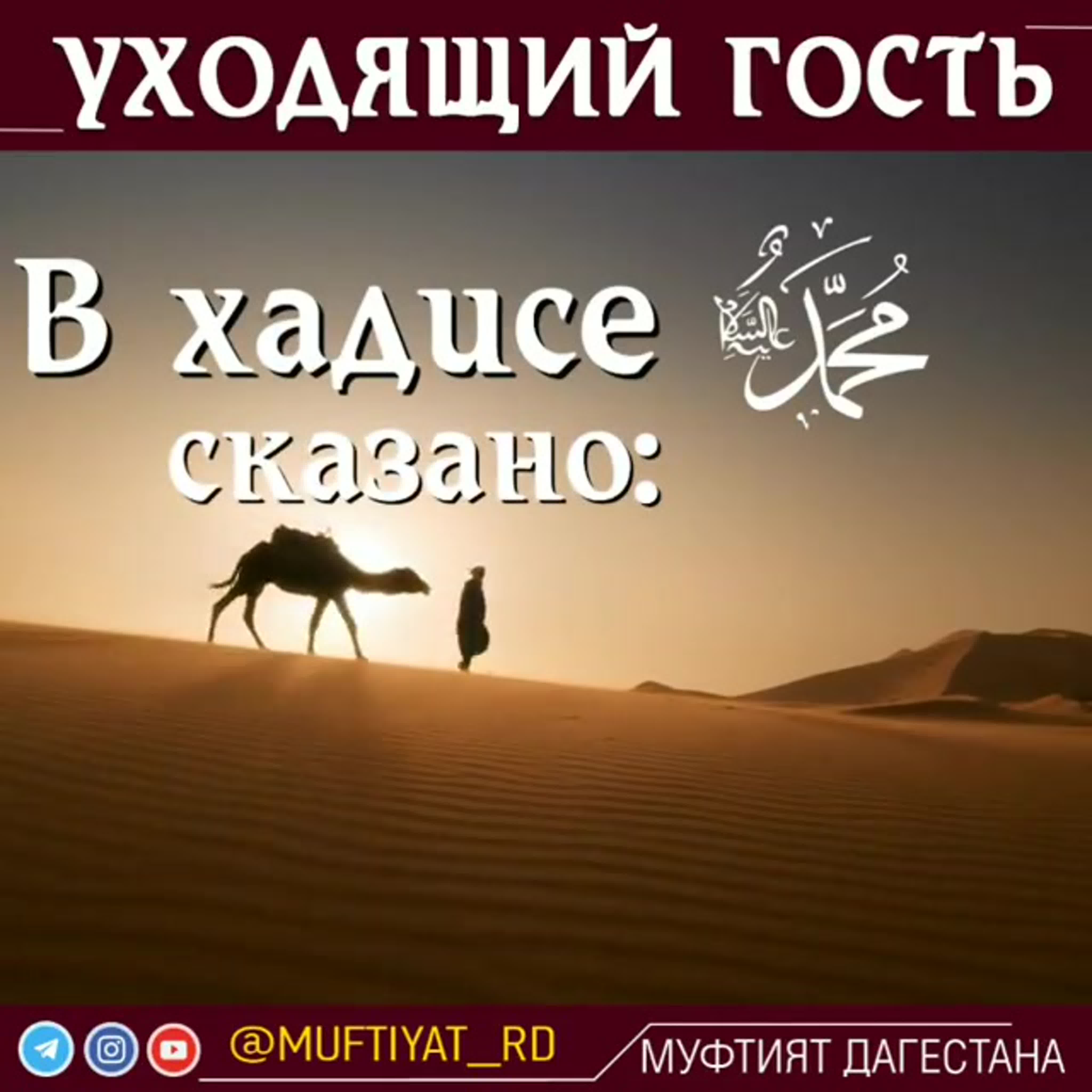 Хьехам watch online