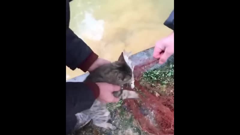 Разборка рыбацкая (vhs video)