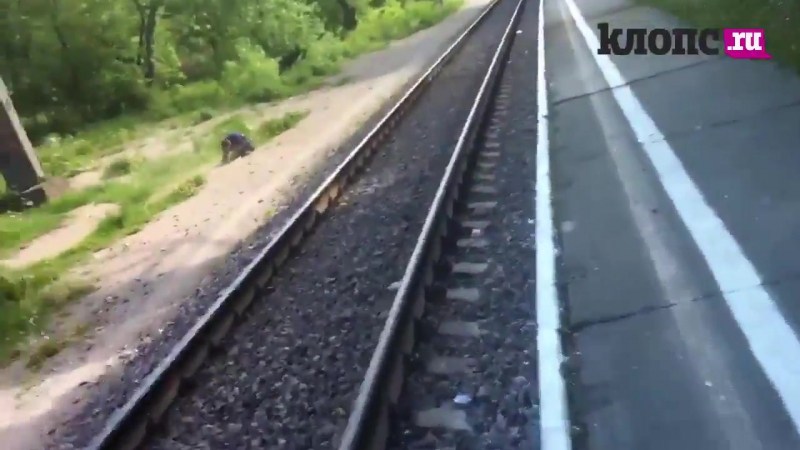 Калининградец свалился с высоты на высоковольтные провода, делая селфи