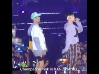 010618 triple position kangaroo