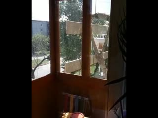 Сломали раму на балконе