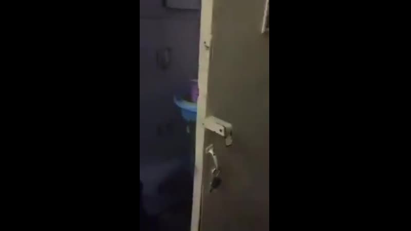 Вызывайте экзорциста [ ]