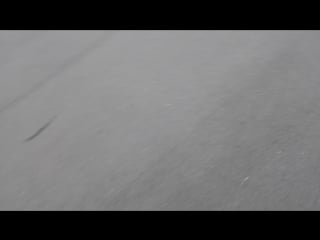 Неудачная трёха