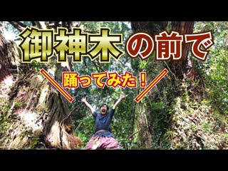 【ハマーダ】御神木の前で踊ってみた【夜もすがら君想ふ】縦動画です！ niconico video sm38763211