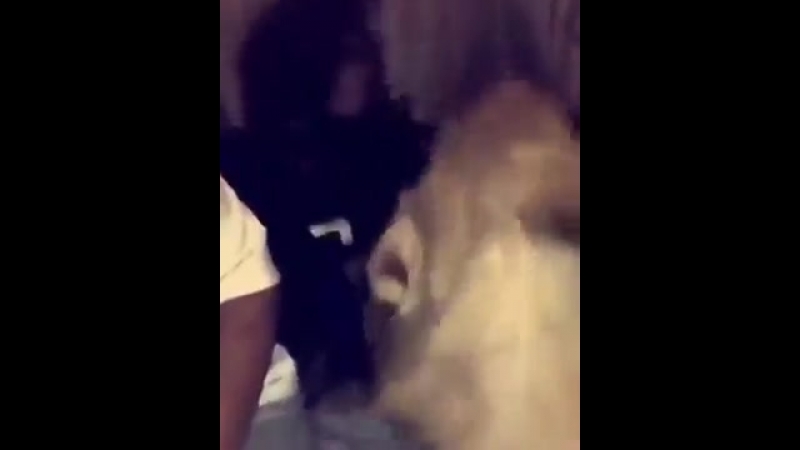 Обезьяна исполняет, парни поймут ), прикол, смех, ржач, молодые, один против всех, порно, porno, sex, секс, драка,