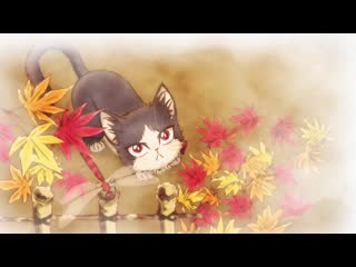 Doukyonin wa hiza, tokidoki, atama no