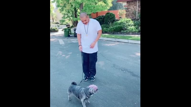 Марас шакур флексит