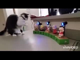 How they kept from droping or even shaking the shot