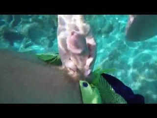 Ruwhore подрочила под водой handjob underwater