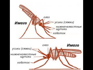 Лр 191 в продолжение