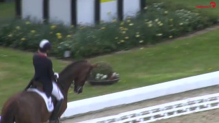 Ингрид климке и geraldine (v fürst grandios x tolstoi), 18летняя кобыла