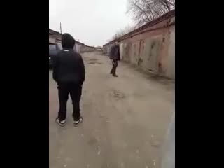 Молодые шакалы