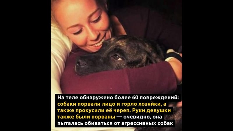 Питбули загрызли свою любимую хозяйку во время прогулки в лесу