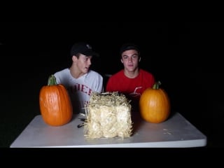 Carving pumpkins challenge ⁄⁄ dolan twins