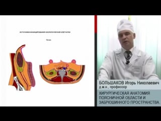 Хирургическая анатомия поясничной области и забрюшинного пространства