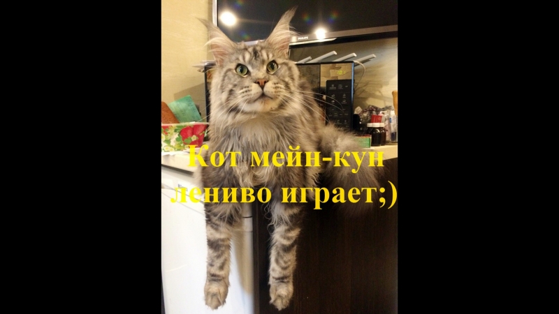 Эрнест леонард silver lynx