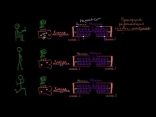 Влияние симпатических нервов на активность миозина