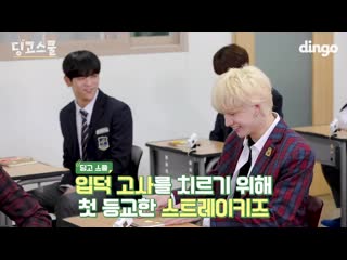 [video] 190422 dingo school ep 1