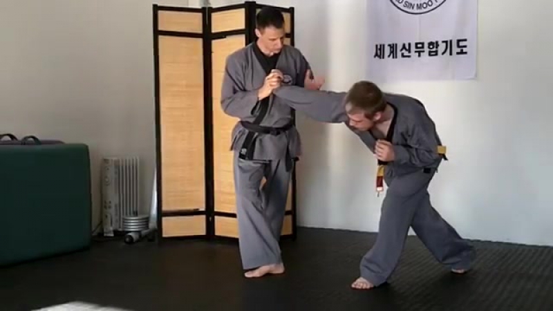 Sinmoo hapkido foundations 20 arm bar punch defense