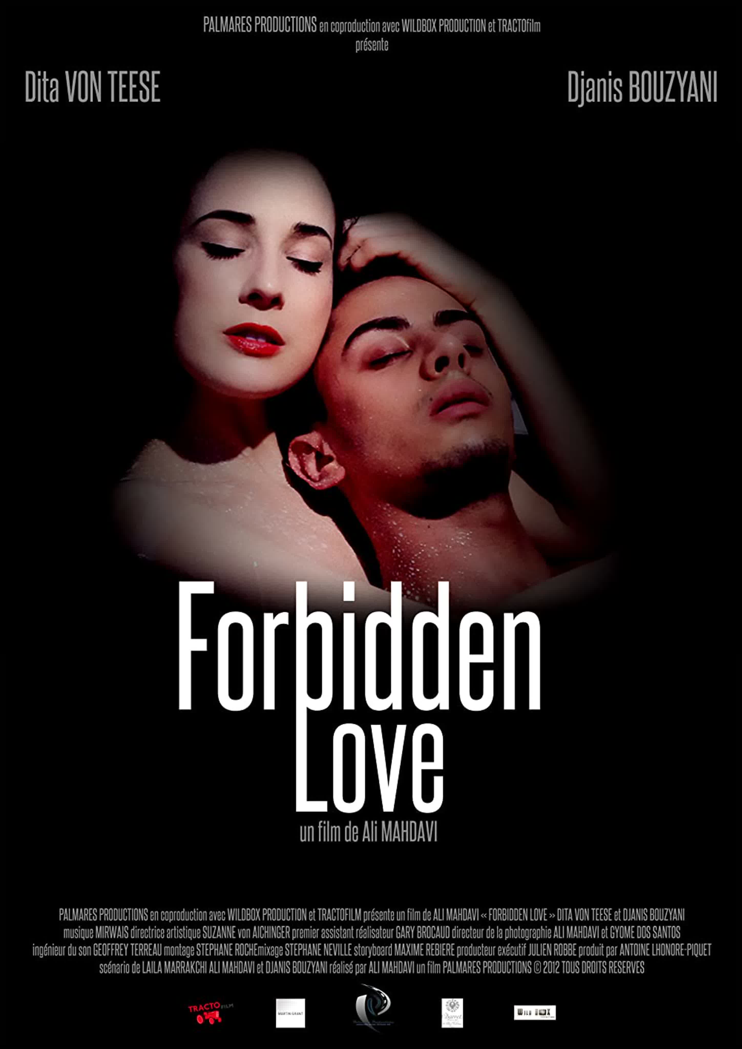 Запретная любовь forbidden love (2012) франция watch online